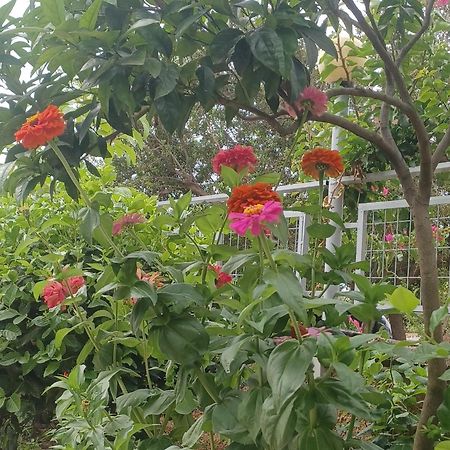 Garden Rooms Himare Esterno foto